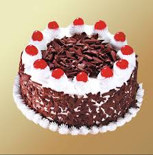 08 CHOCO CHIPS CAKE 1 KG